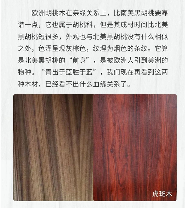 【一木定制】關(guān)于黑胡桃，你知道多少
