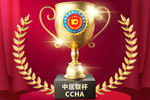 恭賀九州彩木門(mén)連續(xù)兩年榮獲木門(mén)行業(yè)十大品牌稱(chēng)號(hào)