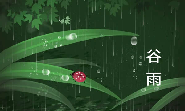 吾尋純木門(mén)丨谷雨：雨生百谷，萬(wàn)物生長(zhǎng)！
