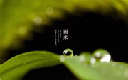 科派木門·今日雨水 | 好雨知時節(jié)，當(dāng)春乃發(fā)生