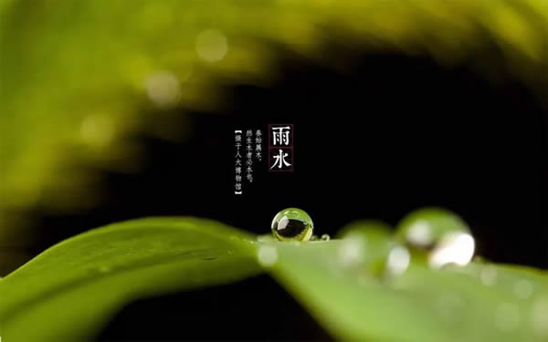 科派木門·今日雨水 | 好雨知時節(jié)，當(dāng)春乃發(fā)生