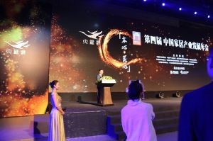 第四屆大雁獎(jiǎng)