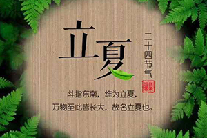 木門(mén)企業(yè)立夏節(jié)氣圖
